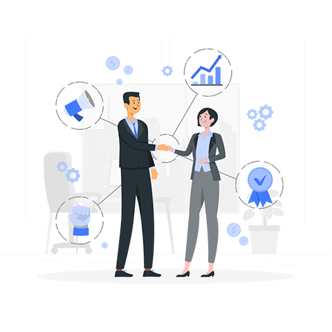 ERP selection consultant