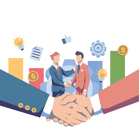 ERP functional consultant